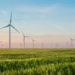 Infiintarea unui parc eolian de 432 MW este aproape de autorizare
