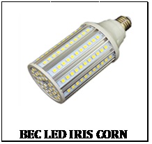 bec-led-corn