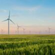 Parc eolian de peste 86 MW, propus de antreprenori romani