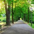 Un parc din Capitala va fi modernizat cu peste 23 mil euro