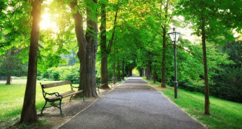 Un parc din Capitala va fi modernizat cu peste 23 mil euro
