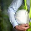 Opt hale individuale vor fi construite in apropierea Capitalei