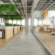 Showroom, birouri si spatii de servicii, pentru un dealer auto