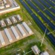 BERD a aprobat finantarea proiectului de stocare a energiei BESS Buciumi