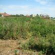 Achizitii de terenuri - Reluarea cresterii tranzactiilor cu terenuri a fost stopata de caderea e-Terra