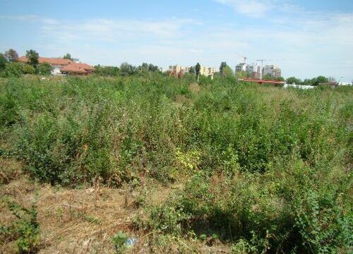 Achizitii de terenuri - Reluarea cresterii tranzactiilor cu terenuri a fost stopata de caderea e-Terra