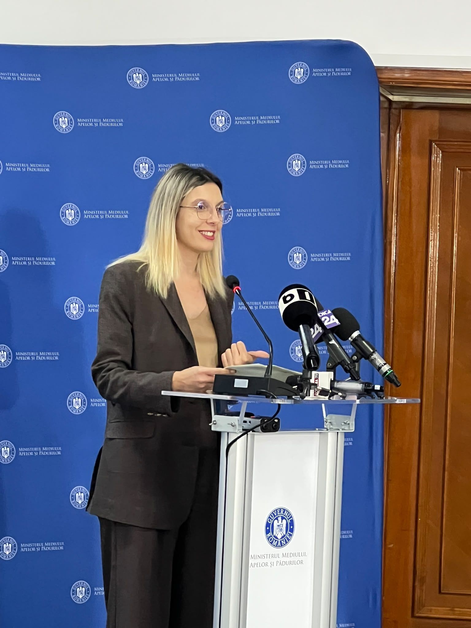 Diana Buzoianu, ministra Mediului: Radarul Balastierelor este finalizat in proportie de 95%
