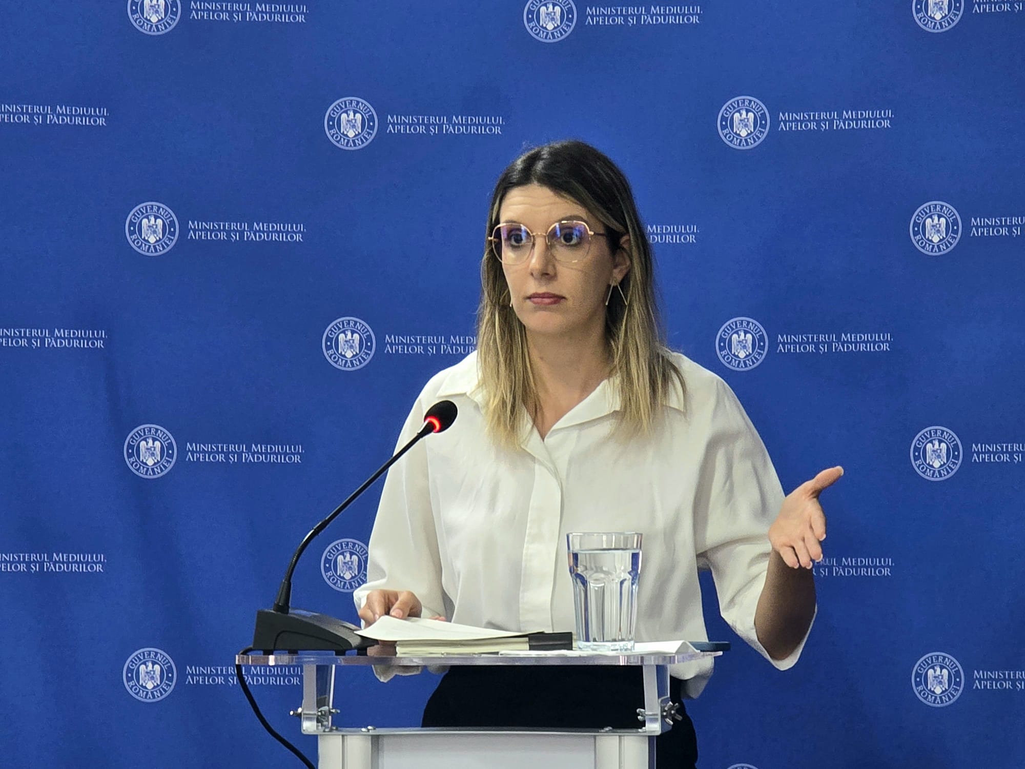 Diana Buzoianu, ministra Mediului: Avem buget cel putin pana la finalul anului pentru platile din proiectele exPNRR si AFM
